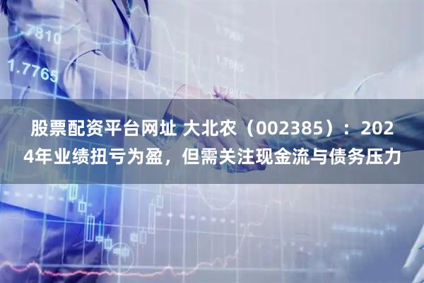 股票配资平台网址 大北农（002385）：2024年业绩扭亏为盈，但需关注现金流与债务压力